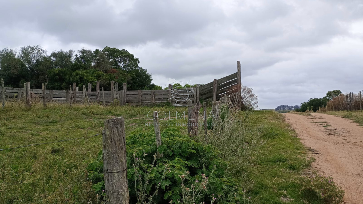 Campo en la coronilla con casco. - GoPunta - Portal Inmobiliario de Punta del Este - Maldonado