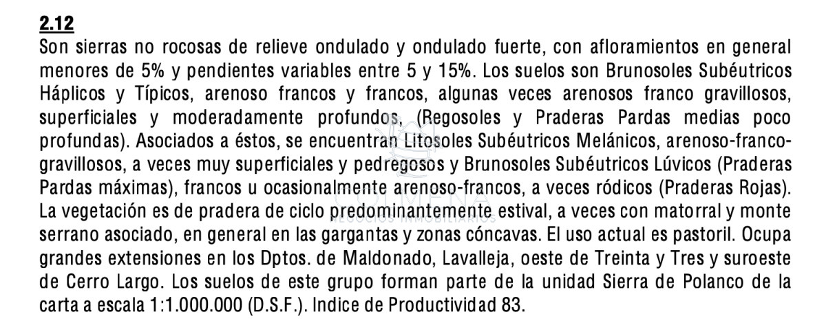 Campo cerca de Ciudad de Aigua - GoPunta - Portal Inmobiliario de Punta del Este - Maldonado