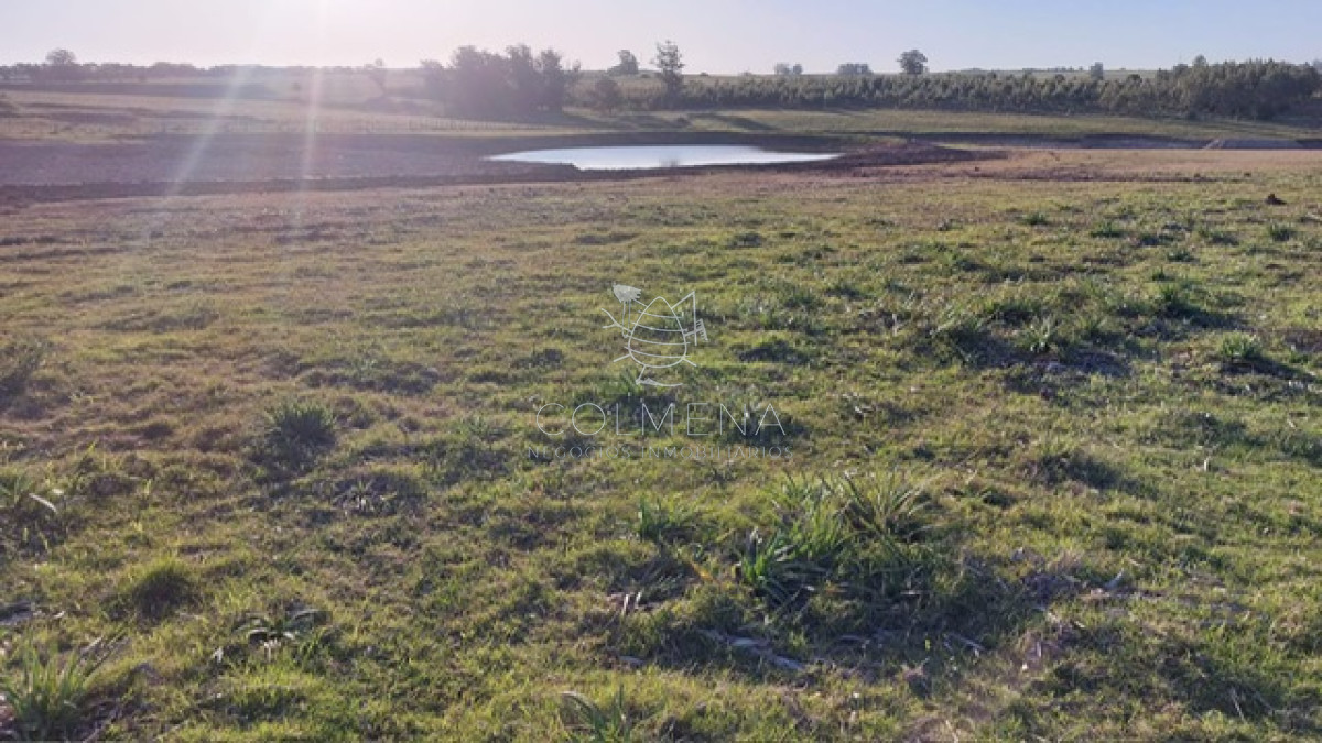 Campo 5 has con tres lagos , pasa la luz. - GoPunta - Portal Inmobiliario de Punta del Este - Maldonado