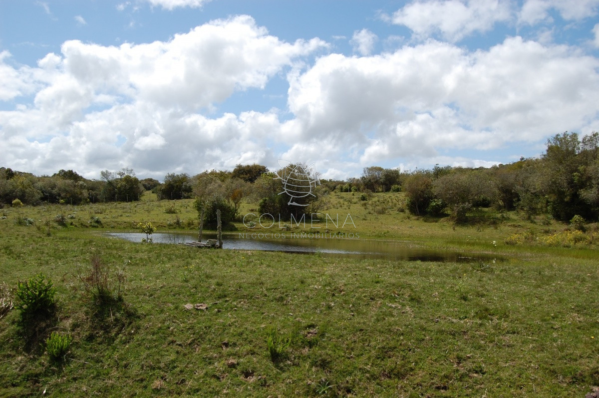 Campo 5 has con casa en Sierra de los Caracoles   Codigo 5379 - GoPunta - Portal Inmobiliario de Punta del Este - Maldonado