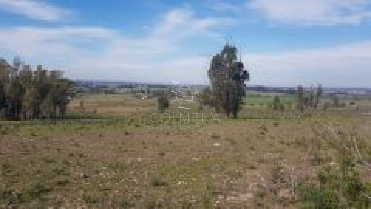 Campo de 37 has   en Los Ceibos   Las Vertientes - GoPunta - Portal Inmobiliario de Punta del Este - Maldonado