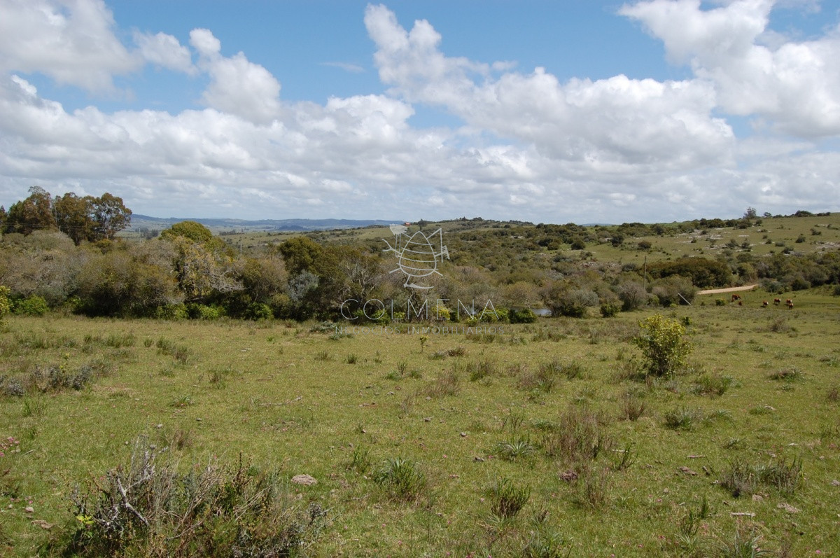 Campo 5 has con casa en Sierra de los Caracoles   Codigo 5379 - GoPunta - Portal Inmobiliario de Punta del Este - Maldonado