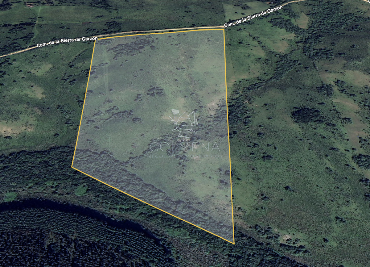 Campo 20 has con 2378 m2 en camino de las sierras de garzón - GoPunta - Portal Inmobiliario de Punta del Este - Maldonado
