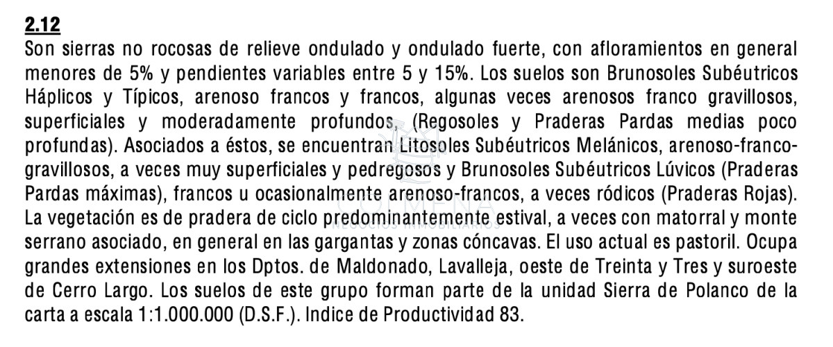 Muy buen Campo para cria de ganado. - GoPunta - Portal Inmobiliario de Punta del Este - Maldonado