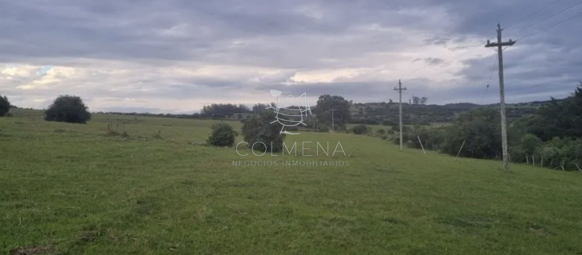Pueblo Eden - GoPunta - Portal Inmobiliario de Punta del Este - Maldonado