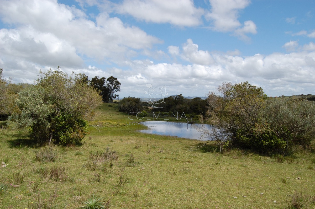 Campo 5 has con casa en Sierra de los Caracoles   Codigo 5379 - GoPunta - Portal Inmobiliario de Punta del Este - Maldonado
