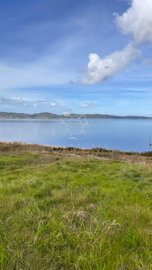 Chacras en Laguna del Sauce - GoPunta - Portal Inmobiliario de Punta del Este - Maldonado