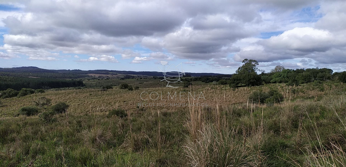 Campo 20 has con 2378 m2 en camino de las sierras de garzón - GoPunta - Portal Inmobiliario de Punta del Este - Maldonado