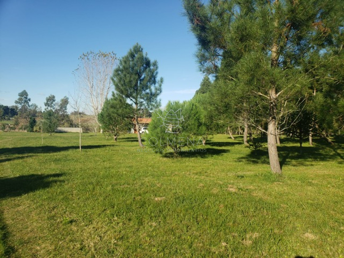Chacra de 3 has con 5657 m2 en camino Benito Nardone - GoPunta - Portal Inmobiliario de Punta del Este - Maldonado