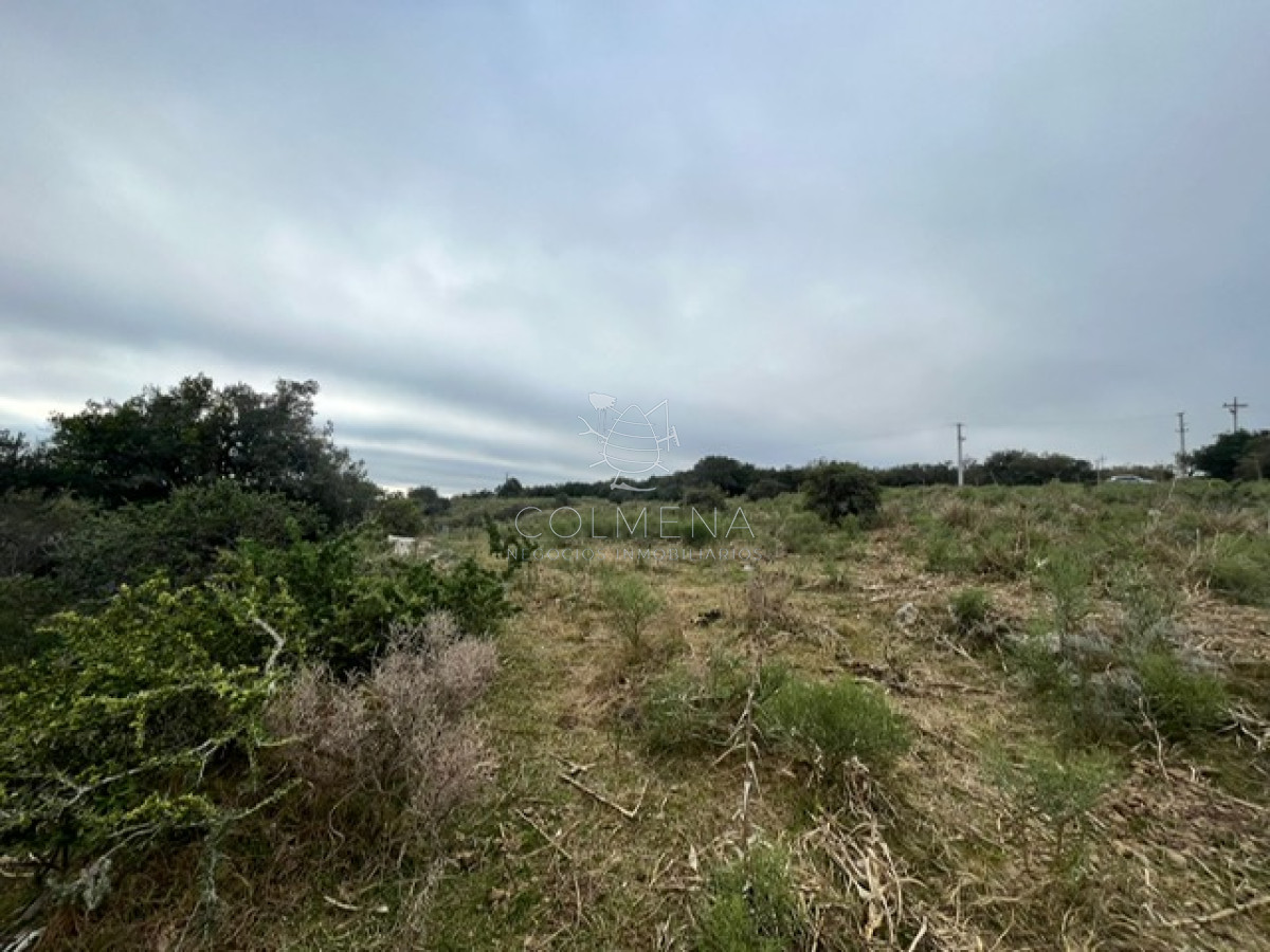 Chacras de 6Has En Pueblo Edén!!! Hermosas vistas a las Sierras. CONSULTENOS! - GoPunta - Portal Inmobiliario de Punta del Este - Maldonado