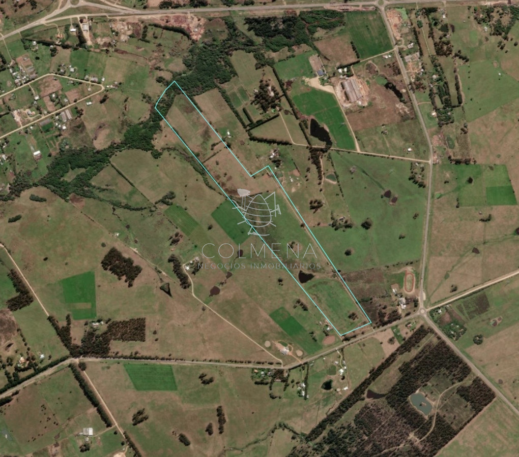 Campo 23 has a metros de la ruta 104 y a 15 km de Manantiales - GoPunta - Portal Inmobiliario de Punta del Este - Maldonado