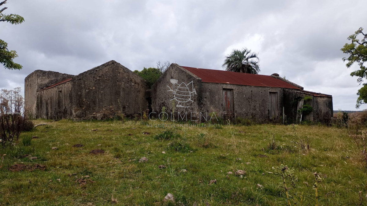 Campo en la coronilla con casco. - GoPunta - Portal Inmobiliario de Punta del Este - Maldonado