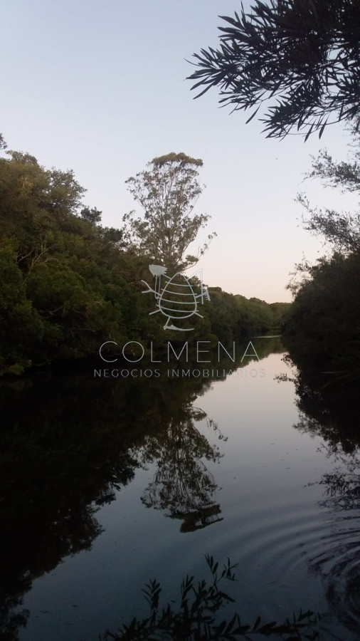 Campo 24 has Casa, galpon, Luz, costa de arroyo y un indice de suelo 10.7   Consulte!!!!! - GoPunta - Portal Inmobiliario de Punta del Este - Maldonado