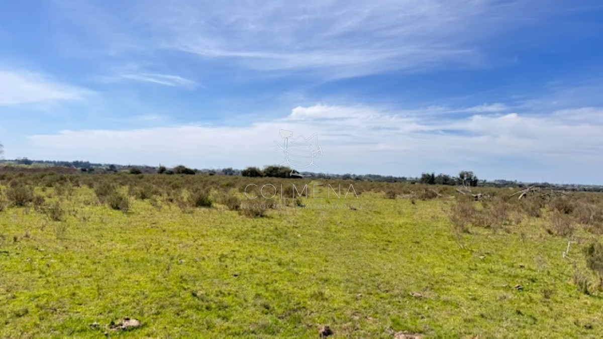 Campo 15 has con costa de arroyo en los Ceibos - GoPunta - Portal Inmobiliario de Punta del Este - Maldonado