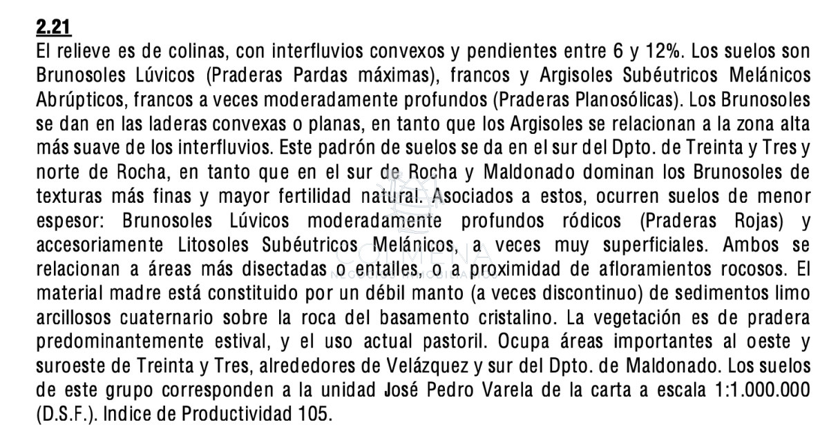 Campo 21 has en Corte la leña - GoPunta - Portal Inmobiliario de Punta del Este - Maldonado