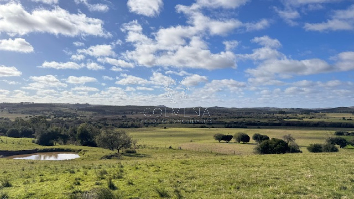 Campo 57 has   Agricola Ganadero cerca de Minas! muy bueno! - GoPunta - Portal Inmobiliario de Punta del Este - Maldonado