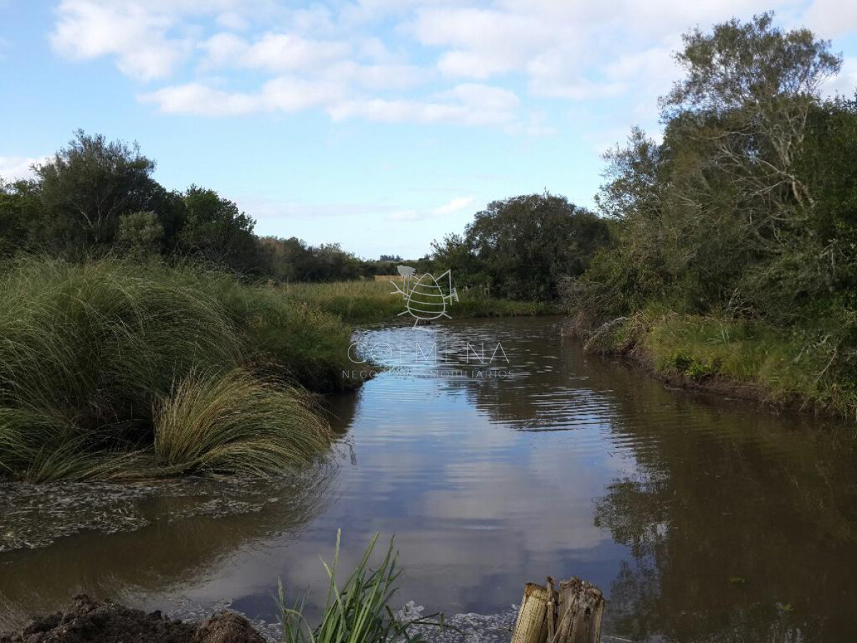 Campo en Garzon cerca del Pueblo Garzon - GoPunta - Portal Inmobiliario de Punta del Este - Maldonado