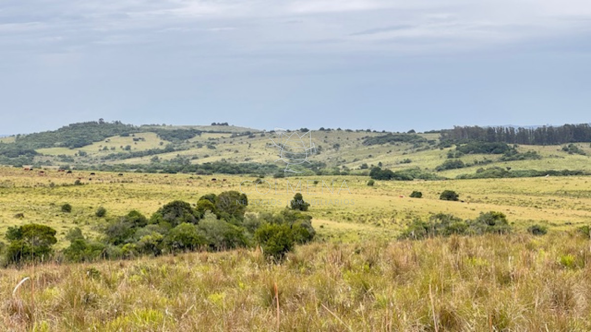 Campo 26 has sobre camino los Molles - GoPunta - Portal Inmobiliario de Punta del Este - Maldonado