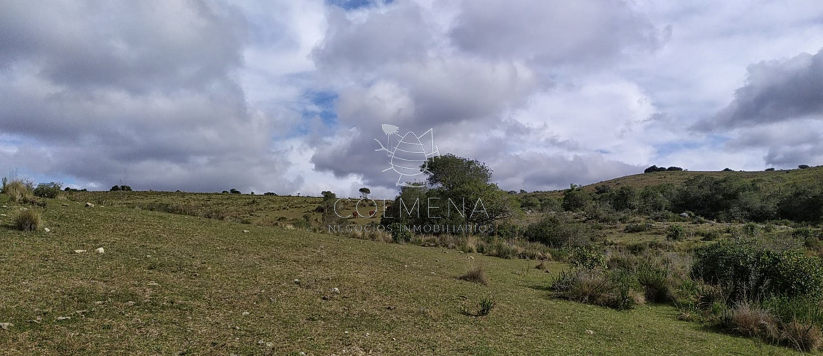 Campo 20 has con 2378 m2 en camino de las sierras de garzón - GoPunta - Portal Inmobiliario de Punta del Este - Maldonado