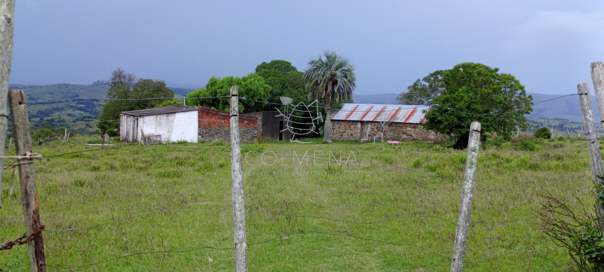 Campo en Rocha hacia ruta 15 - GoPunta - Portal Inmobiliario de Punta del Este - Maldonado