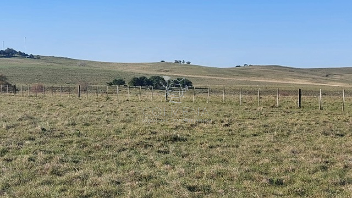 Campo 10 has   monte eucalipto, cañada y pasa la luz. - GoPunta - Portal Inmobiliario de Punta del Este - Maldonado