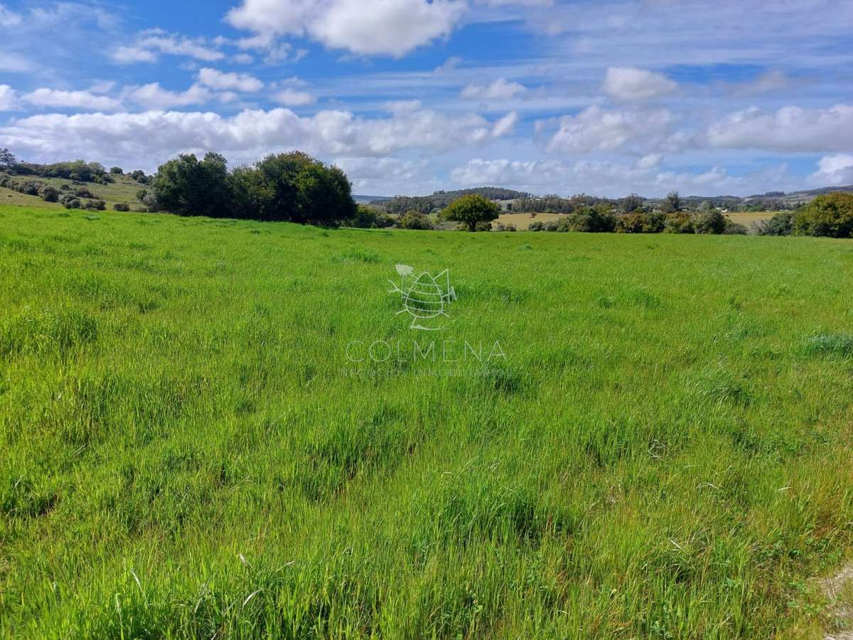 ATENCIÓN INVERSORES!!! Campo 262 has Pueblo Edén, apto para FRACCIONAMIENTO! - GoPunta - Portal Inmobiliario de Punta del Este - Maldonado