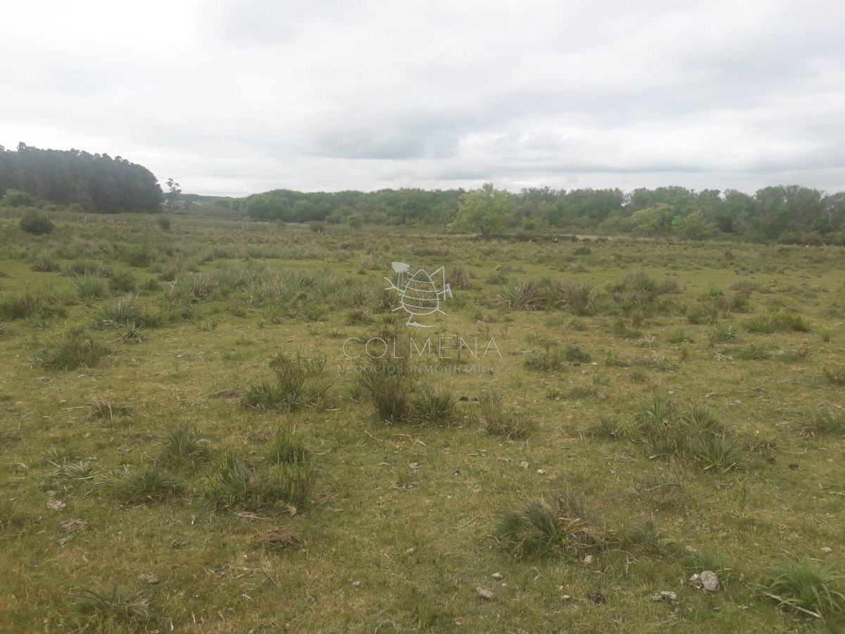 Campo en Partido Norte - GoPunta - Portal Inmobiliario de Punta del Este - Maldonado