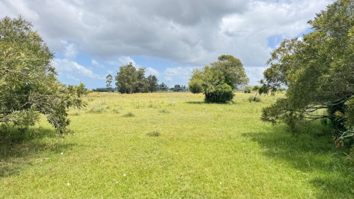 campo de 5 has y media - GoPunta - Portal Inmobiliario de Punta del Este - Maldonado