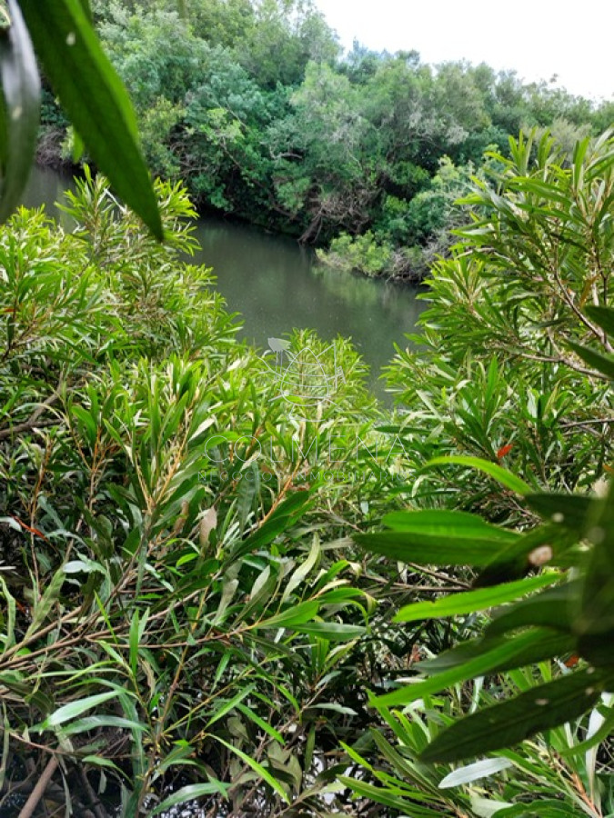 Campo 11 has con 683 m2 en paraje Pueblo Eden - GoPunta - Portal Inmobiliario de Punta del Este - Maldonado