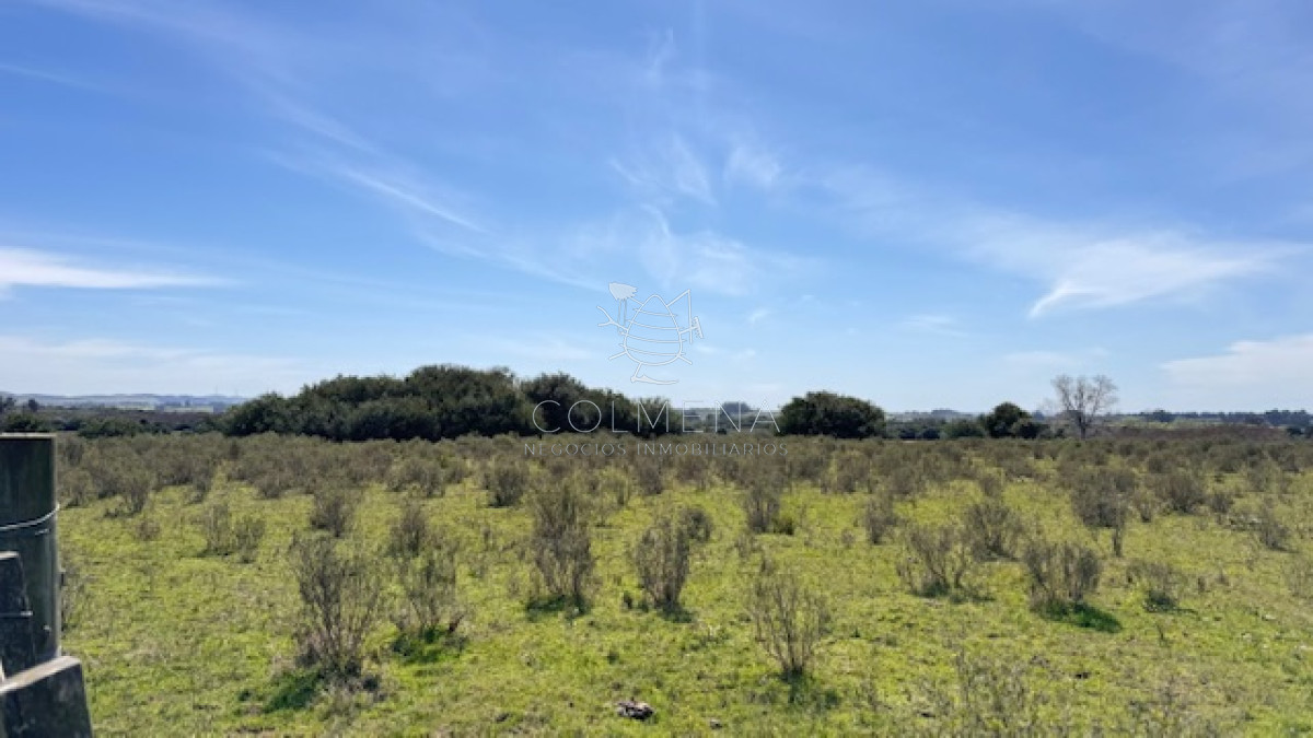Campo 22 has con costa de arroyo ideal para fraccionar - GoPunta - Portal Inmobiliario de Punta del Este - Maldonado