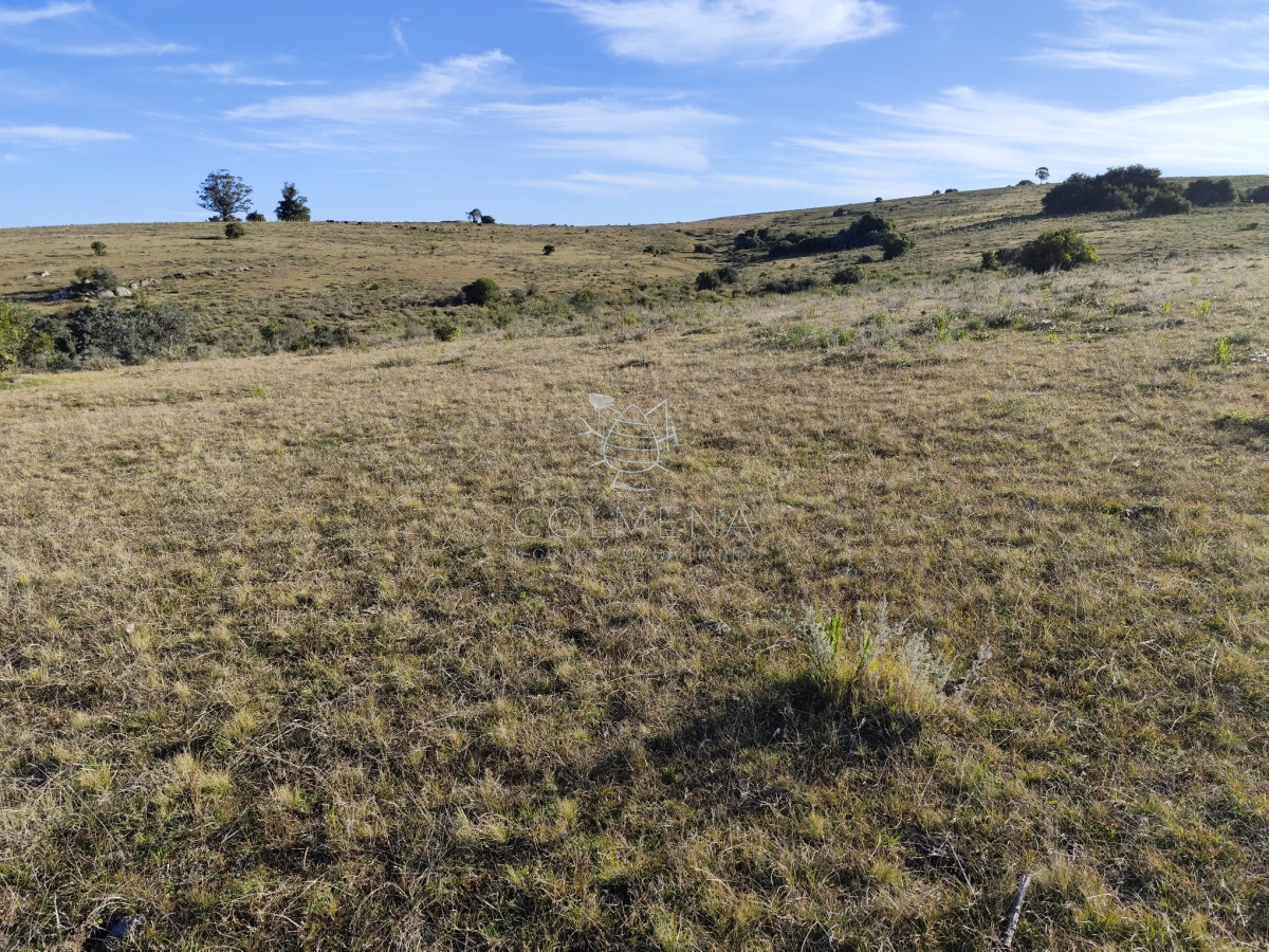 Campo cerca ruta 39 en Paso Dutra - GoPunta - Portal Inmobiliario de Punta del Este - Maldonado