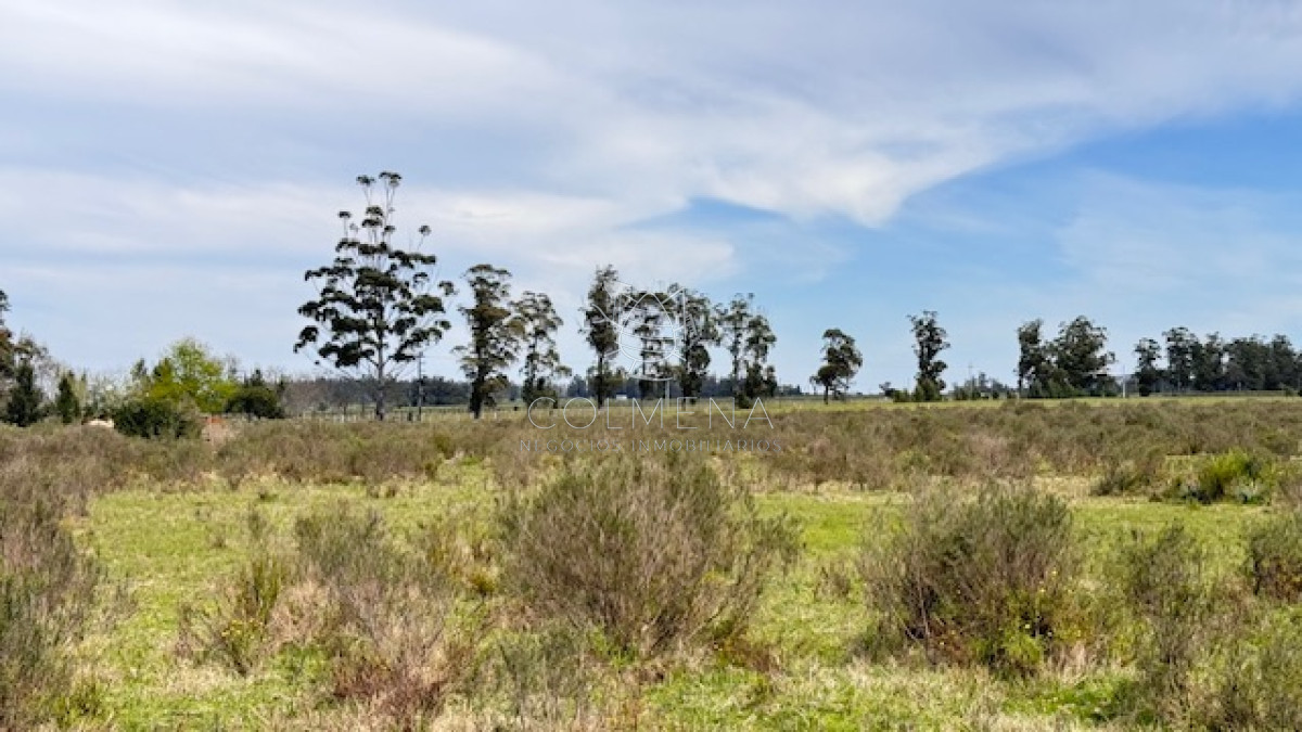 Campo 22 has con costa de arroyo ideal para fraccionar - GoPunta - Portal Inmobiliario de Punta del Este - Maldonado