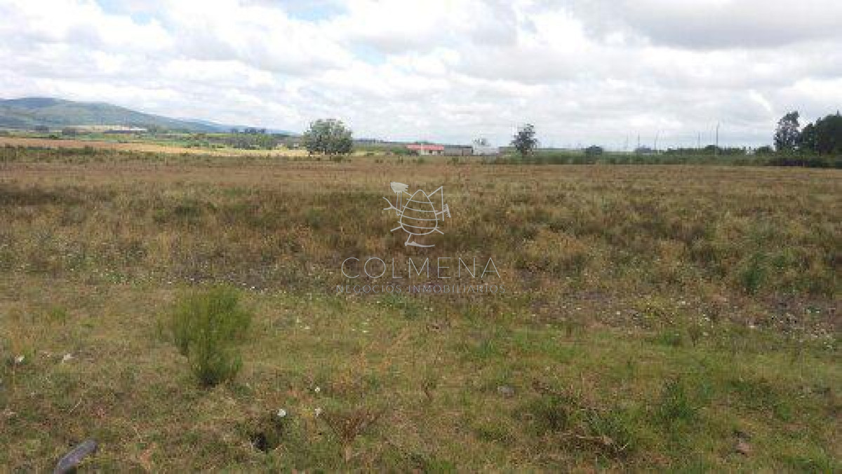Campo 10 has con 6799 m2 cerca de ruta 8 - GoPunta - Portal Inmobiliario de Punta del Este - Maldonado