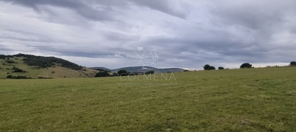 Pueblo Eden - GoPunta - Portal Inmobiliario de Punta del Este - Maldonado