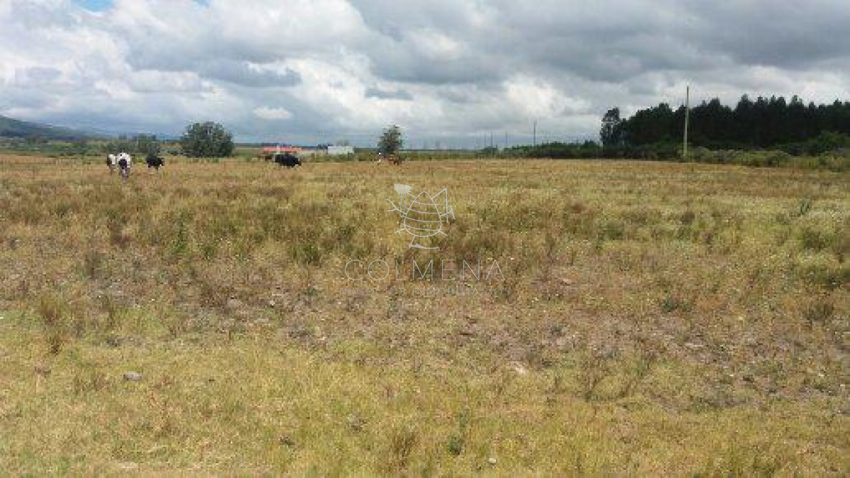 Campo 10 has con 6799 m2 cerca de ruta 8 - GoPunta - Portal Inmobiliario de Punta del Este - Maldonado