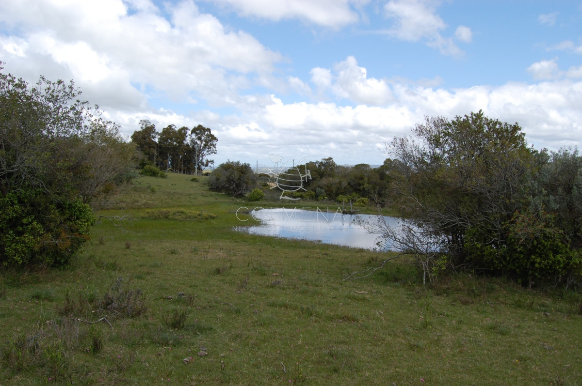 Campo 5 has con casa en Sierra de los Caracoles   Codigo 5379 - GoPunta - Portal Inmobiliario de Punta del Este - Maldonado