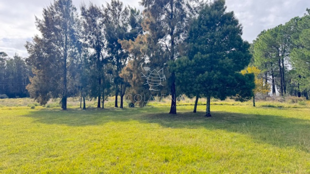 Campo 12 has con casa y piscina a 21 km de Punta del este - GoPunta - Portal Inmobiliario de Punta del Este - Maldonado