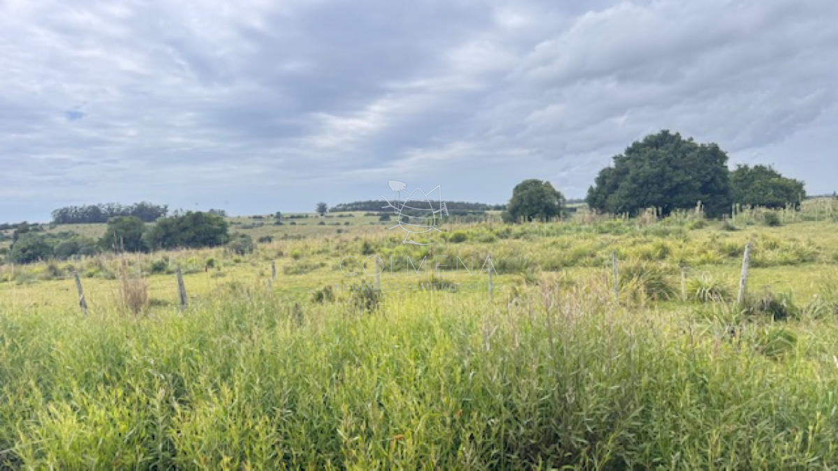 Campo sobre camino los molles y Pueblo Garzón. - GoPunta - Portal Inmobiliario de Punta del Este - Maldonado