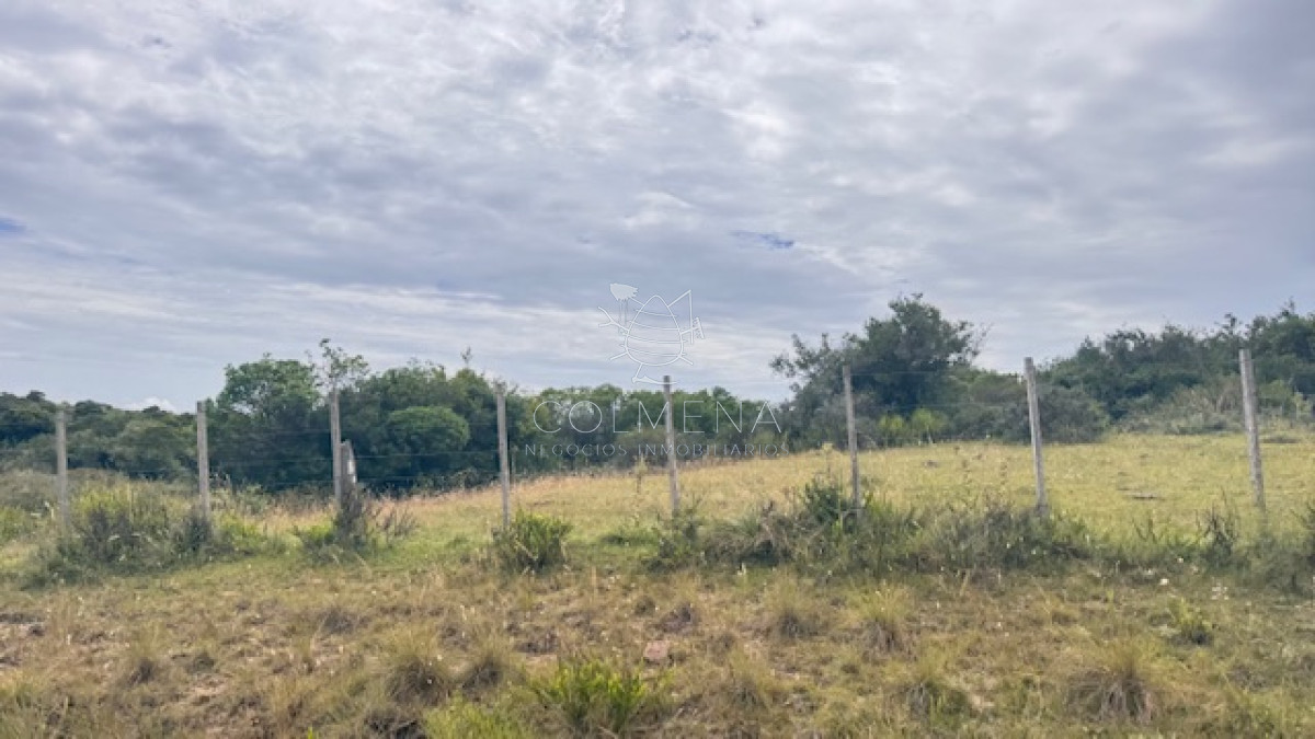 Campo sobre camino los molles y Pueblo Garzón. - GoPunta - Portal Inmobiliario de Punta del Este - Maldonado