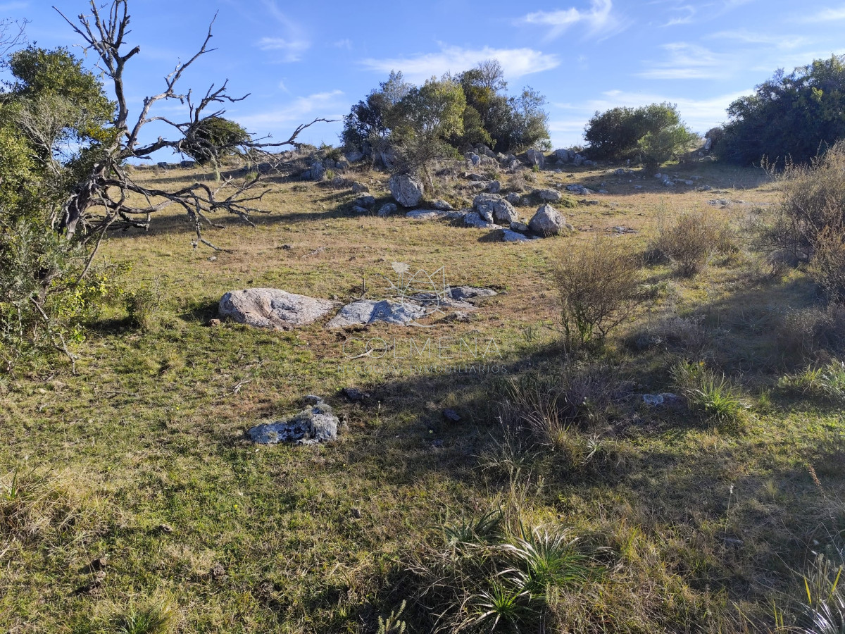 Campo cerca ruta 39 en Paso Dutra - GoPunta - Portal Inmobiliario de Punta del Este - Maldonado
