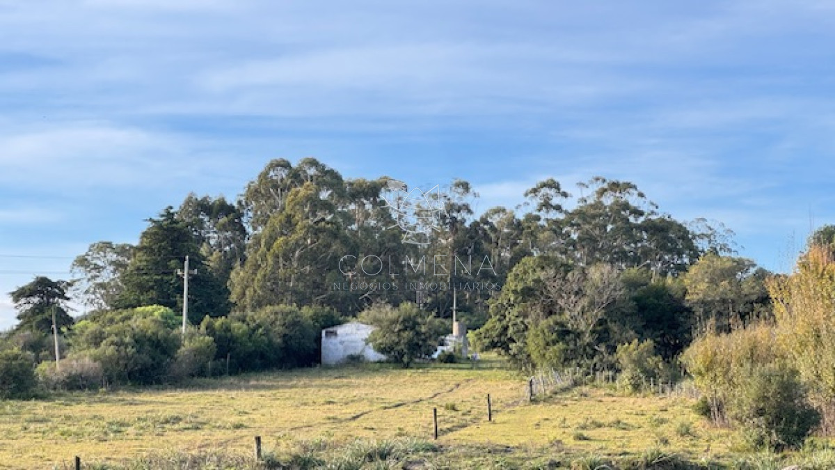 Campo de 4 has 1602 m2 muy cerca de ruta 12 y la 9. - GoPunta - Portal Inmobiliario de Punta del Este - Maldonado