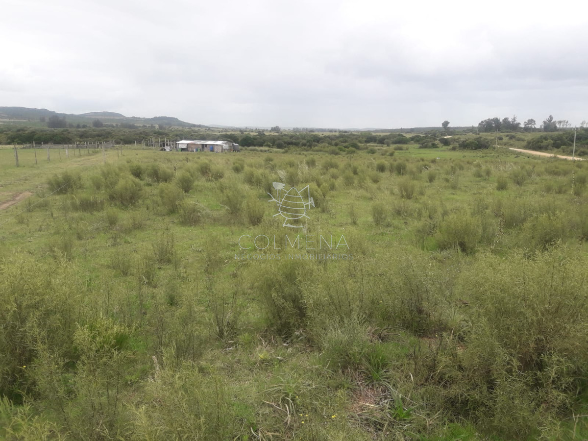 Campo de 5 has con 5891 m2 - GoPunta - Portal Inmobiliario de Punta del Este - Maldonado