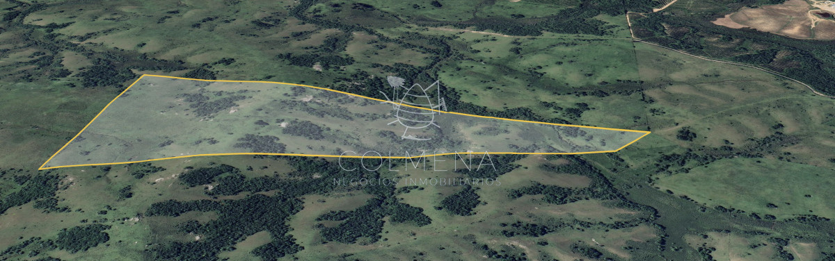 Campo cerca de los viñedos, bodegas y pueblo Garzon. - GoPunta - Portal Inmobiliario de Punta del Este - Maldonado
