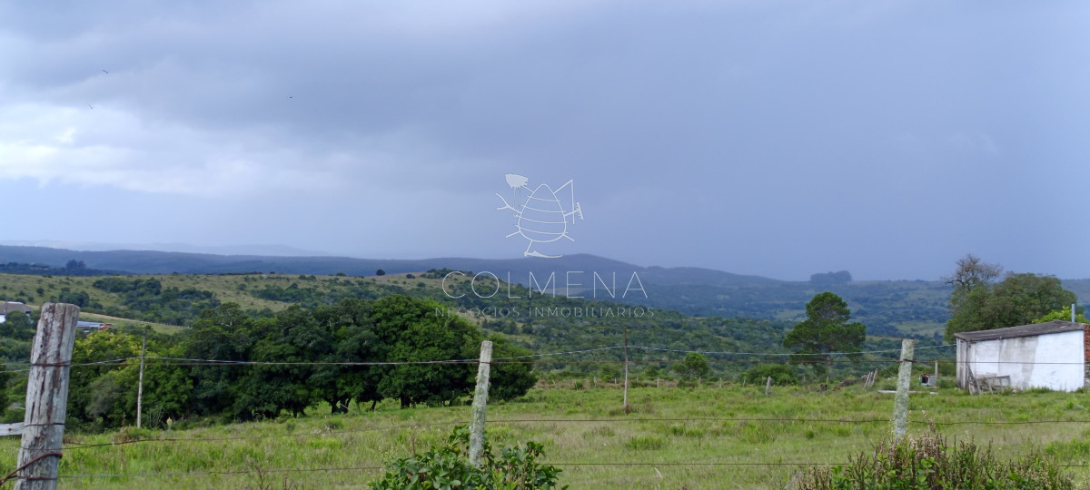 Campo en Rocha hacia ruta 15 - GoPunta - Portal Inmobiliario de Punta del Este - Maldonado