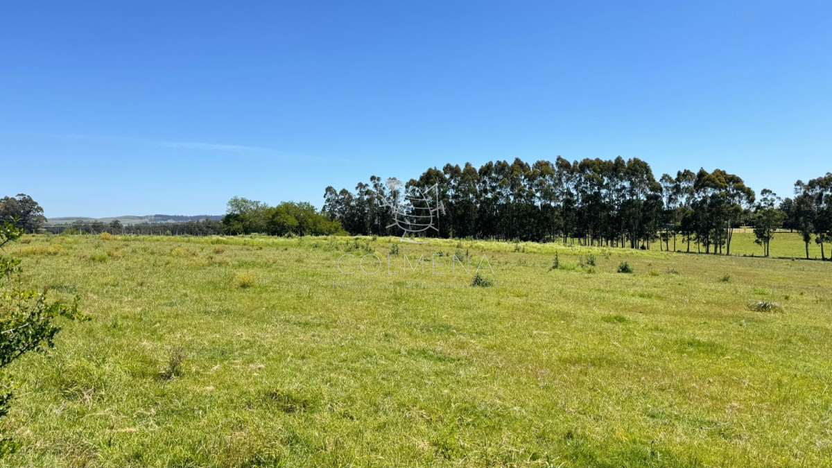 Campo en San Carlos, - GoPunta - Portal Inmobiliario de Punta del Este - Maldonado