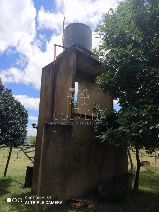 Campo 28 has en Corte La Leña con casa y costa de arroyo. - GoPunta - Portal Inmobiliario de Punta del Este - Maldonado