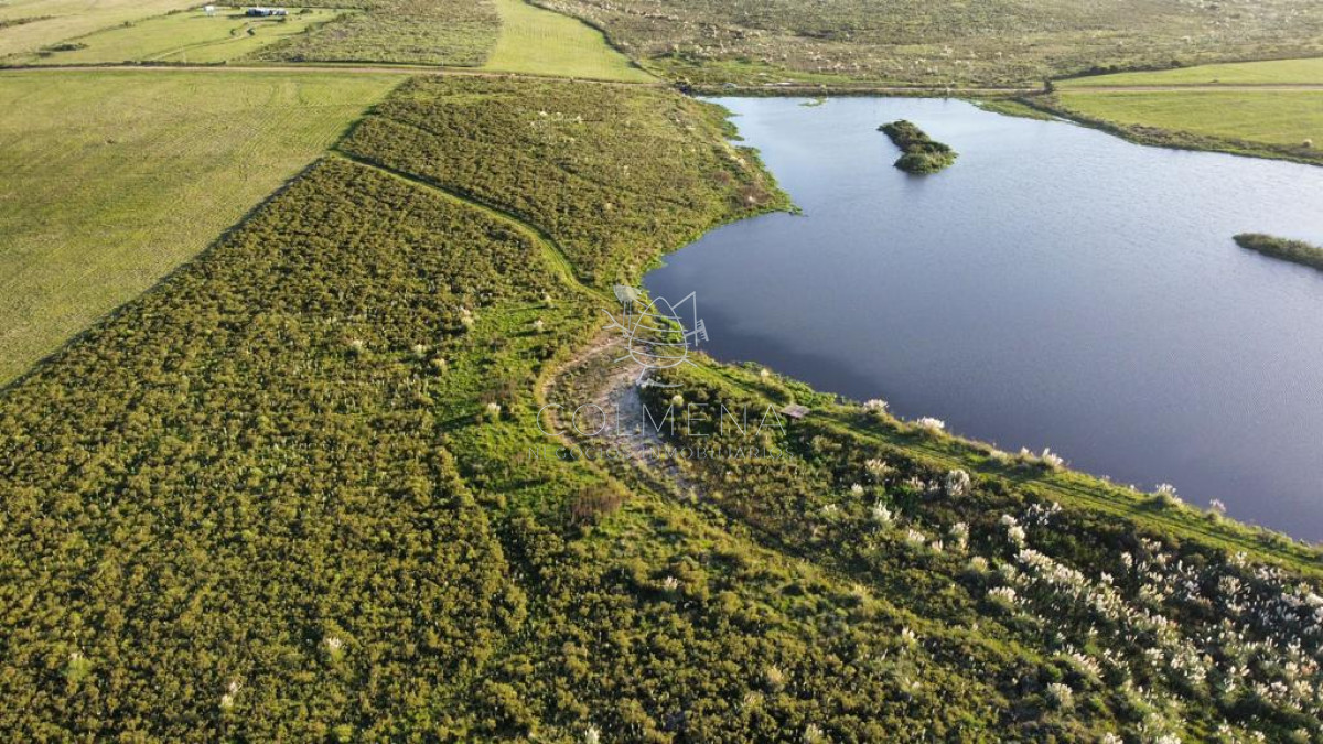 Campo con 300 m  de frente a laguna, cuenta con un islote lugar muy pintoresco. - GoPunta - Portal Inmobiliario de Punta del Este - Maldonado