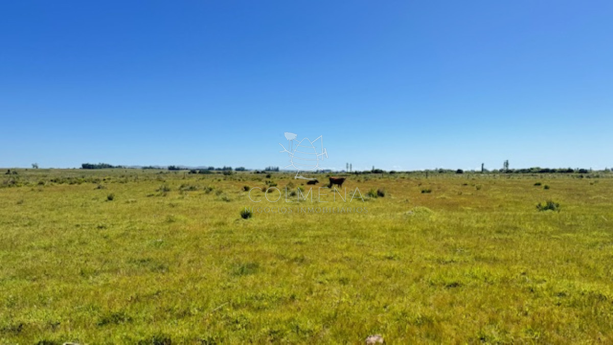 Campo 109 has a 34 km de Punta del Este - GoPunta - Portal Inmobiliario de Punta del Este - Maldonado