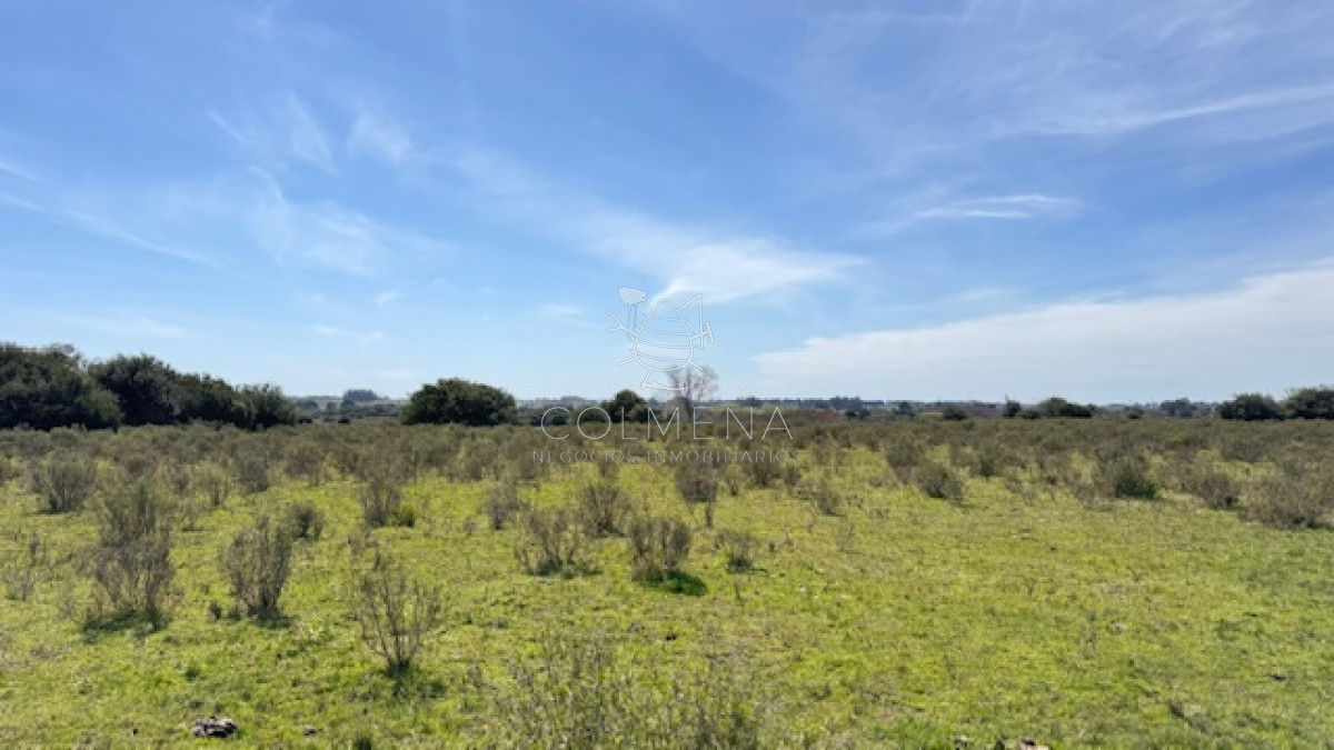 Campo 22 has con costa de arroyo ideal para fraccionar - GoPunta - Portal Inmobiliario de Punta del Este - Maldonado