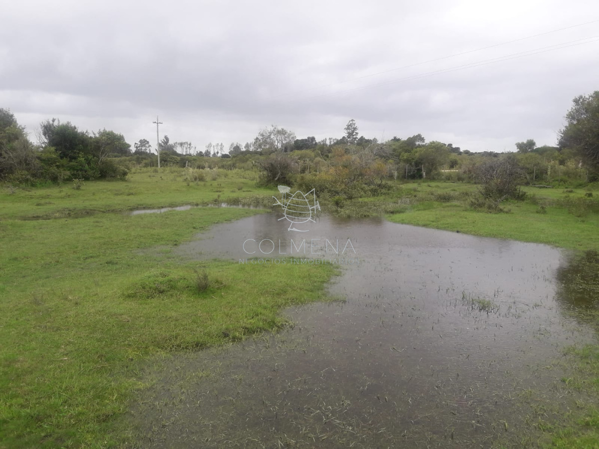 Campo de 5 has con 5891 m2 - GoPunta - Portal Inmobiliario de Punta del Este - Maldonado